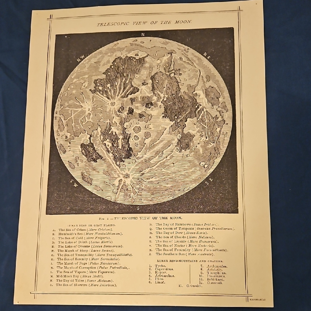 Poster- Telescopic View Of The Moon